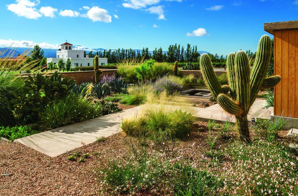 Adobe Charm Villa Cafayate Exterior photo